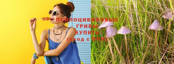 мяу мяу мука Нефтекумск