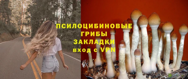 СК Нефтегорск