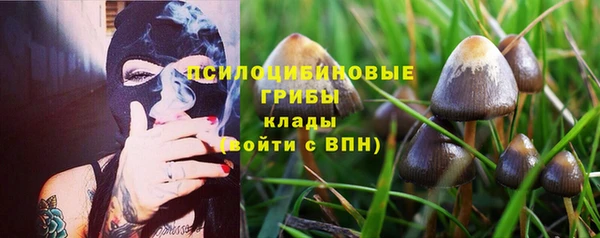 мяу мяу мука Нефтекумск